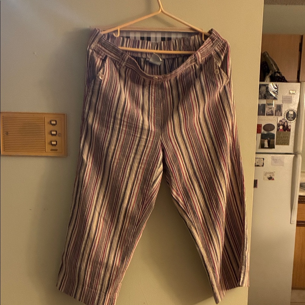 Penningtons Multicolor Striped Pants